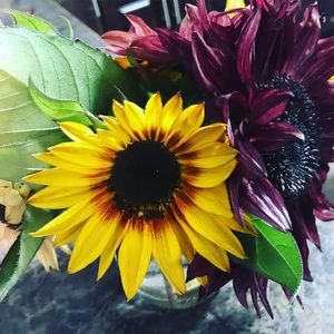 Meet your Posher, Marlo